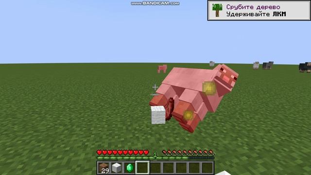 ждём странствующего торговца