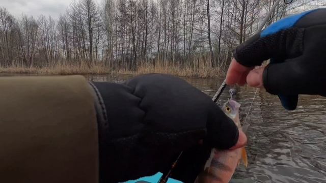 Крайний выход на лодке перед запретом.Микроджиг.