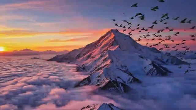 АЙКИ - ТРАНСФОРМАЦИЯ - совмещение классической психологии, НЛП и философии айкидооs