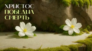 Христос победил смерть | Древо жизни