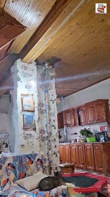 Пока мамуля бегает на шабашку Рыжуля-Прыжуля водится с малышами 💪😻❤️😻🐈🐈🐈🐈🐈🐈🐈 #котики