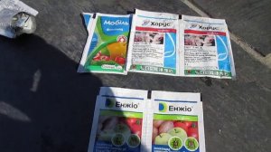 ЧЕМ ОПРЫСКИВАТЬ ДЕРЕВЬЯ до и после цветения. #ВиталийОрех #Виталий7соток