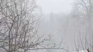 Опять зима...пора лыжи доставать