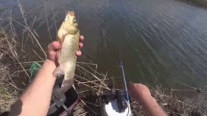 НА ПОПЛАВОК - ТА САМАЯ ЛЮБИМАЯ РЫБАЛКА 2026 ГЛЯ, А ГДЕ САДОК_ Но без улова не остался!