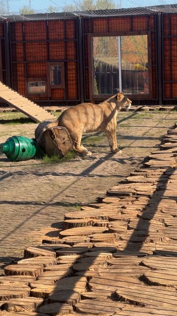 У Киары свой телевизор