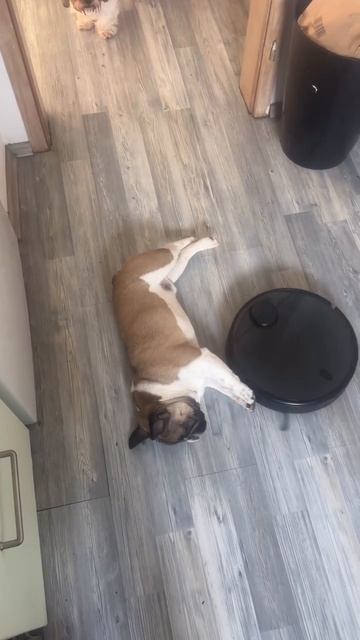 Объезжай🙂))