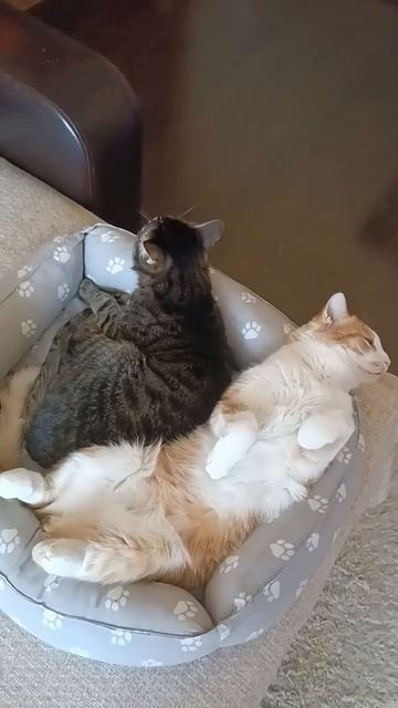 18 апреля 2026 г.