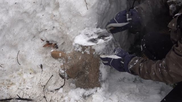 XAKAN _   -13 °C. Снежная буря; ни палатки, ни спального мешка. Зима