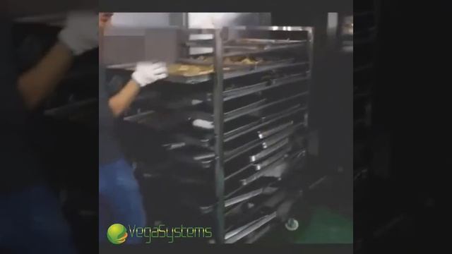 Шкаф для сушки овощей и фруктов Вега/Vega F Dry System 60