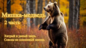 Мишка-медведь 2 часть