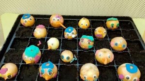 Проект "Мы сажали огород!" в группе "Чунга-Чанга (апрель 2026)