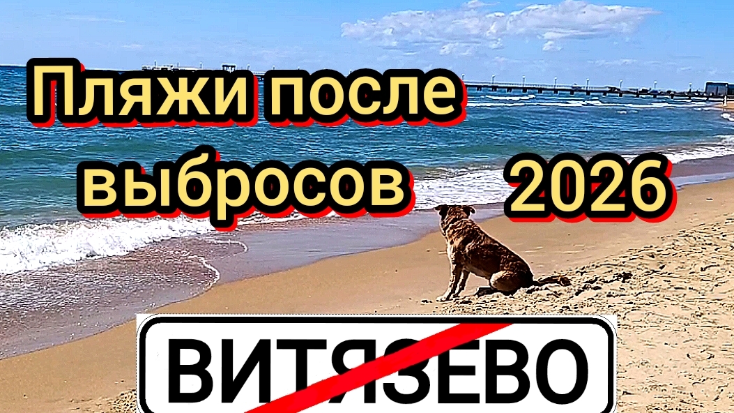 АНАПА. ПЛЯЖИ. ВИТЯЗЕВО. ПОСЛЕ ВЫБРОСОВ МАЗУТА 20-04-2026