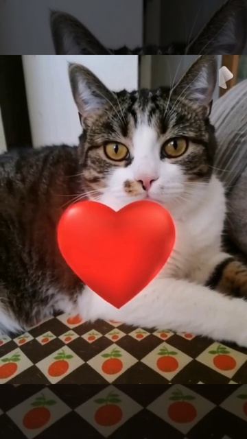 Это вам сердечко от Кети