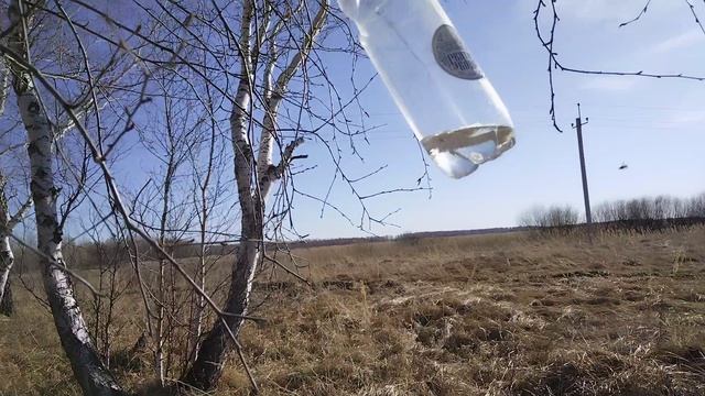 В лес за соком