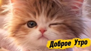 Доброе утро: открытки с добрым утром и музыкальные пожелания | Домохозяйка