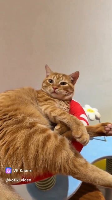 поспал , где что не понятно