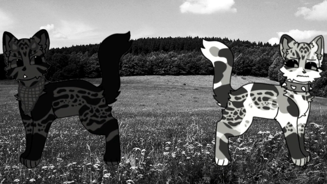 WildCraft/КВ| сказали сьюшке покеда