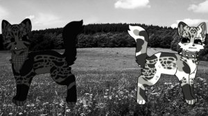 WildCraft/КВ| сказали сьюшке покеда