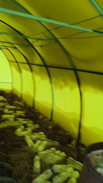 Чистить или не чистить теплицу?