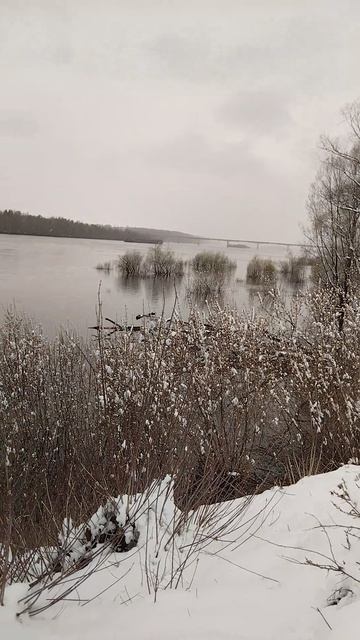 На реке Оке-мост,баржа.