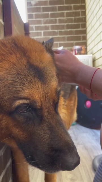 Кто сегодня мылся, тот сушится 😍