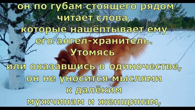 П. Коэльо. О единстве мира. Притча 24. Книга Воина Света