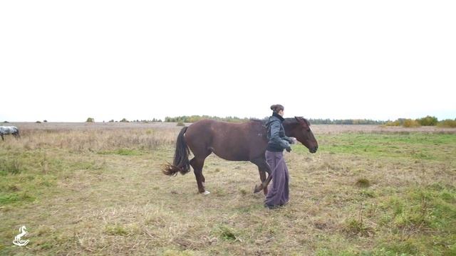 Приветствие, визитка, о нас!