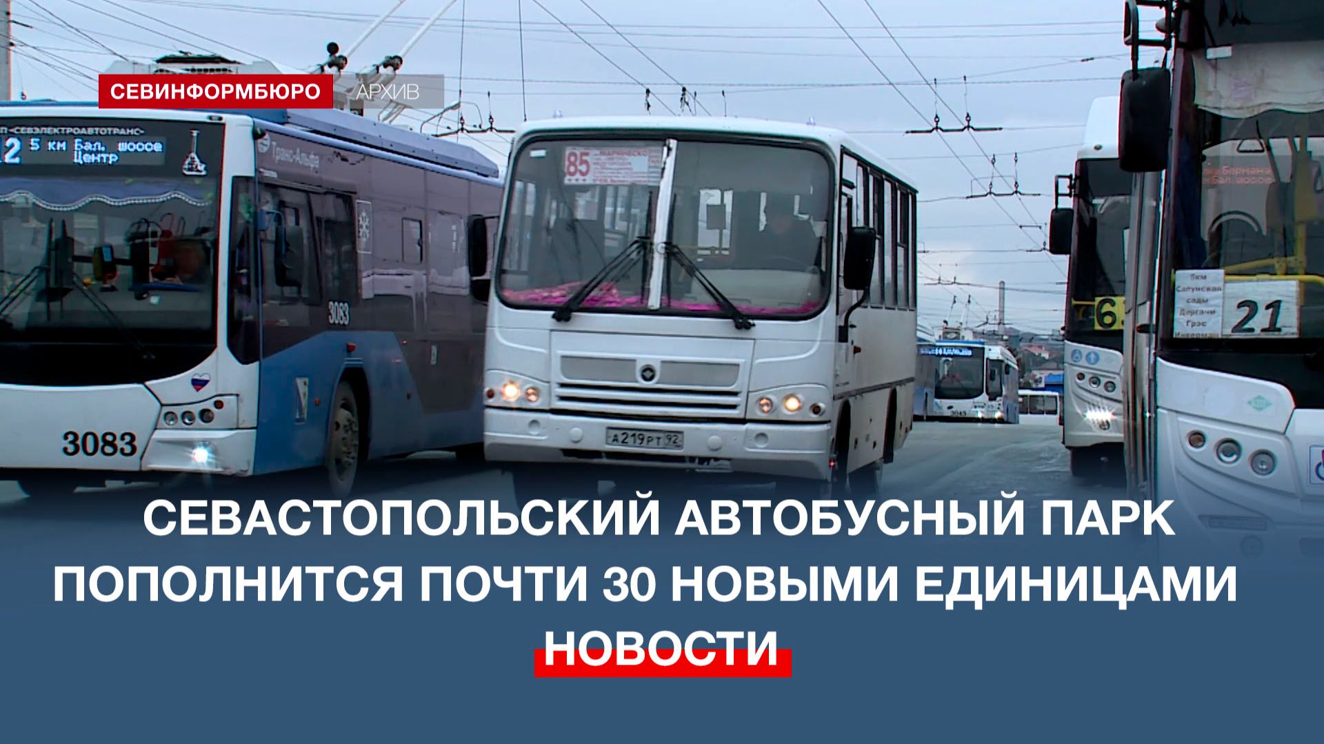 Севастопольский автобусный парк в 2026 году пополнится почти 30 новыми единицами