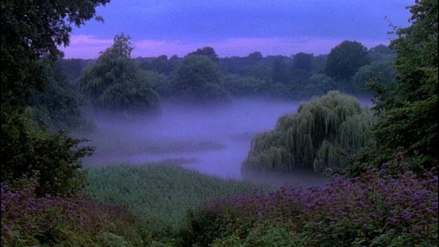 Liminal Fog ⧸⧸ Dark Ambient Drones For Late-night Stillness