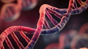 Учёные хотят вернуть неандертальцев к жизни