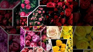 цветочная фантазия 2