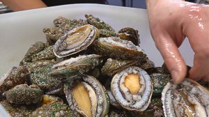 Маринованный рис с морским ушком в чугунном горячем горшке - Корейская еда