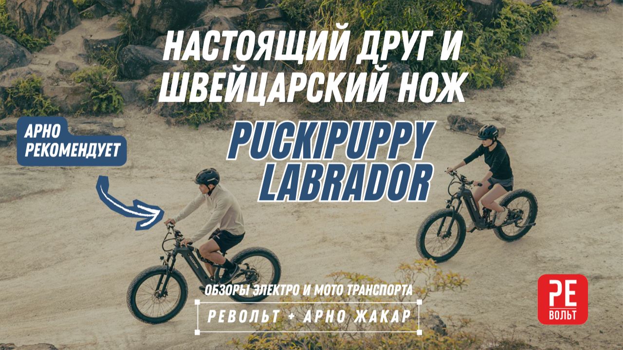 Электровелосипед - швейцарский нож | Puckipuppy Labrador | Re-Volt.ru