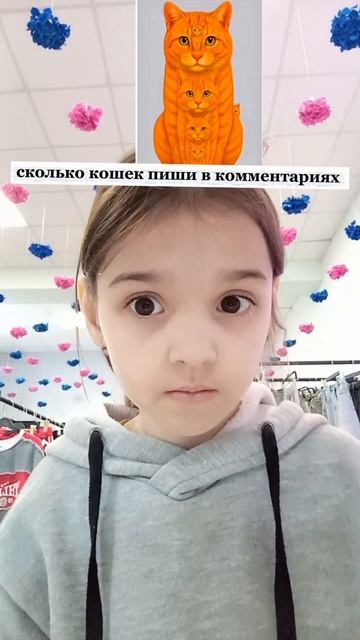 сколько кошек