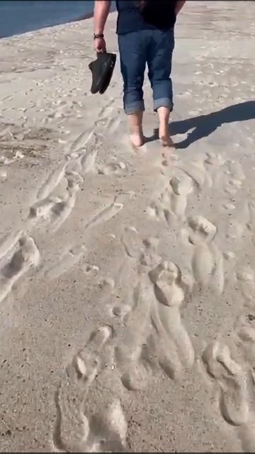 Балтийский песок необычно скрипит