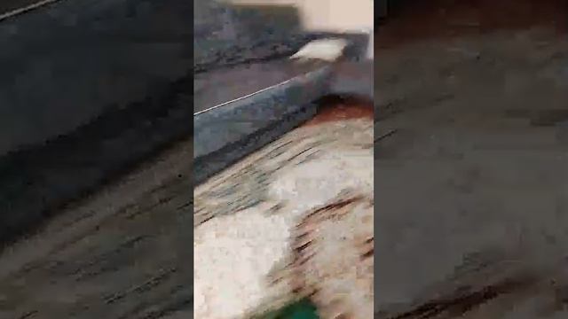 я проверяю дальность стрельбы игрушечных пистолетов