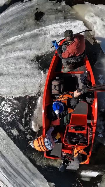 Если ваш отдых не похож на это - меня не зовите! #прикол #юмор