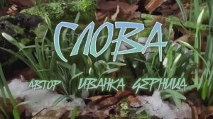 СЛОВА      Иванка Черница