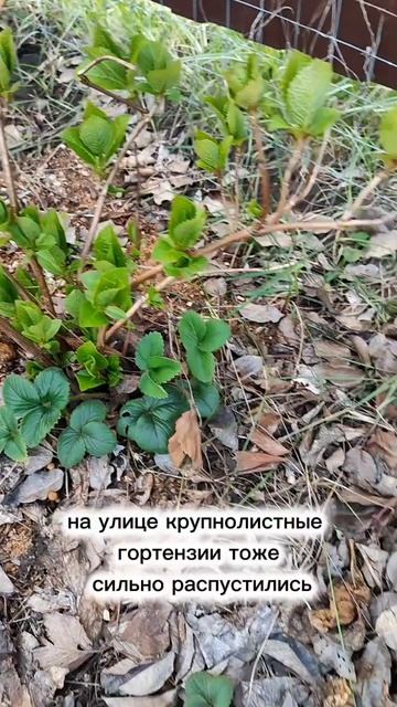 Ожидается похолодание