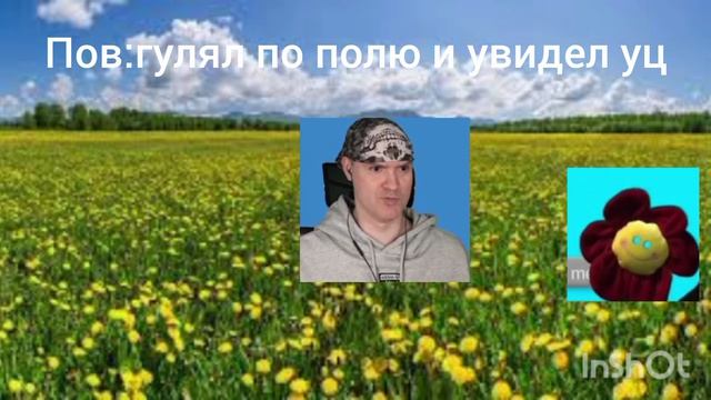 Пов:гулял по полю и увидел уц