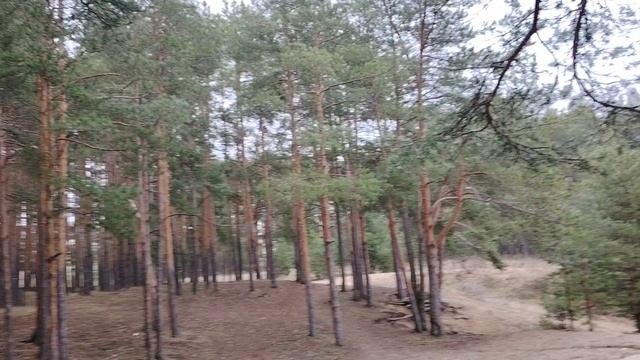 Не делай этого!