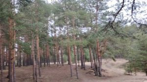 Не делай этого!