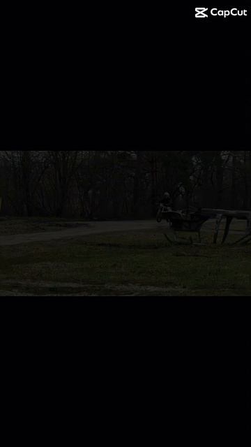 Racer Triumph с мотором Zs175fmn / Cb300rl