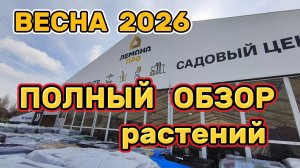 Обзор растений в Лемана Про — весна 2026