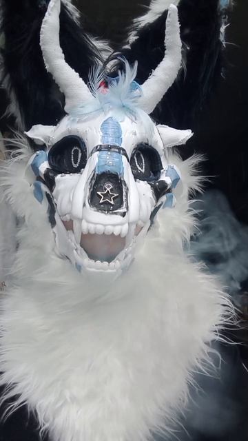 ^°•скалл дог Арион! пасть что то не оч закрылась .....,😮💨☺️💓🐾😓