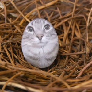 Играем в мой новый ноутбук