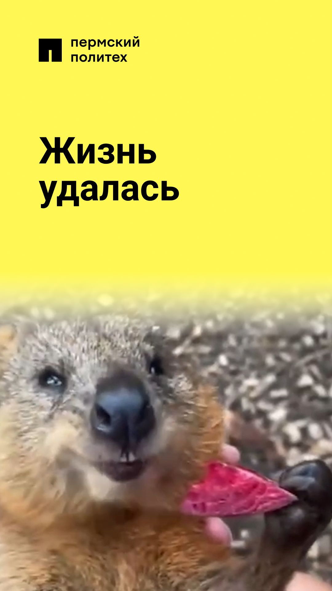 Все, что нужно для счастья