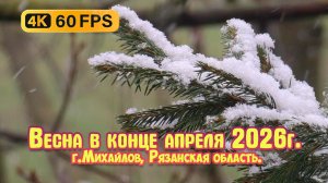 Весна в конце апреля, снег, метель за окном, город Михайлов Рязанская область  4К