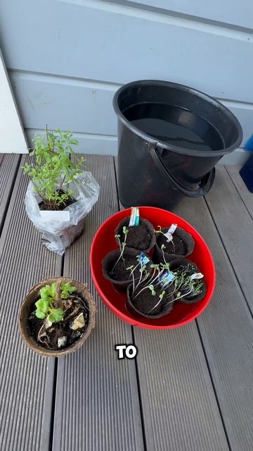 Первые 🌺 пошли 🚀