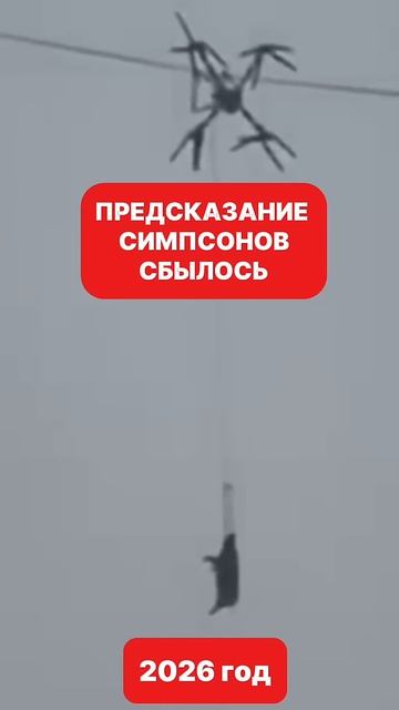 Предсказание Симпсонов сбылось